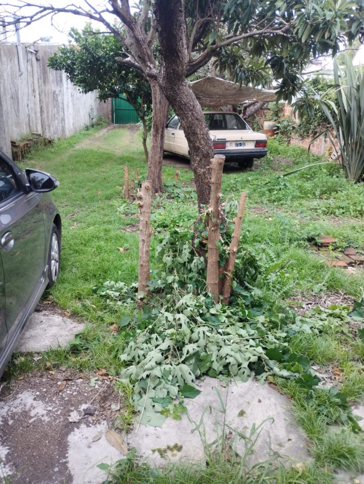 Venta de Lote con dpto a reciclar en centro de Berazategui