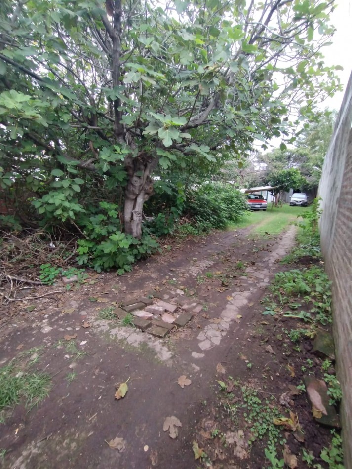 Venta de Lote con dpto a reciclar en centro de Berazategui