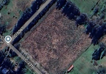 Hectarea en venta - Abasto, Ruta 2 Km 52